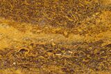 Polished Miriam Stone Slab - India #167790-1